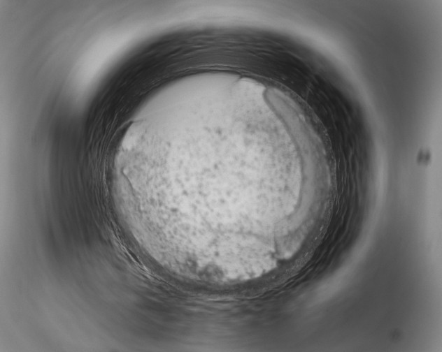 X0000114410146200911271534