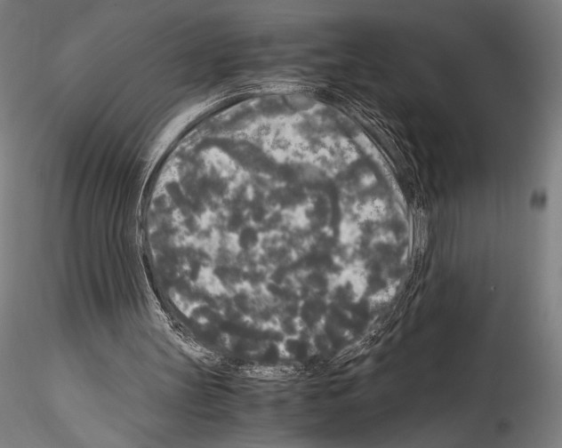 X0000114410147200911271534