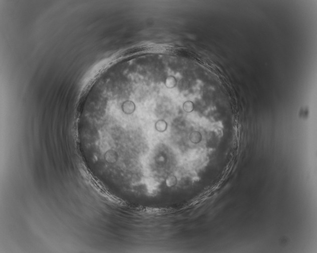 X0000114410149200911271534