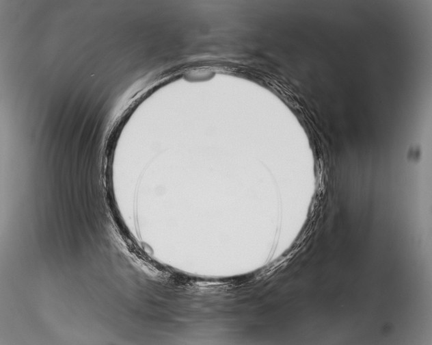 X0000114410150200911271534