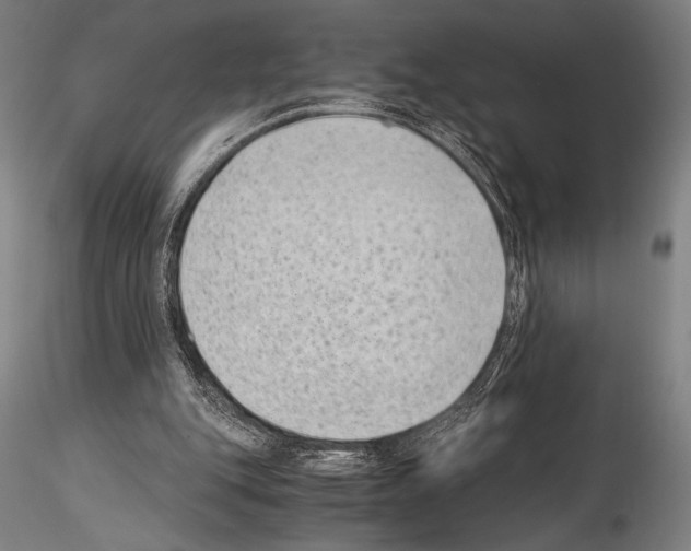 X0000114410151200911271534