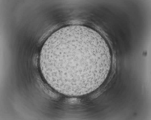 X0000114410153200911271534