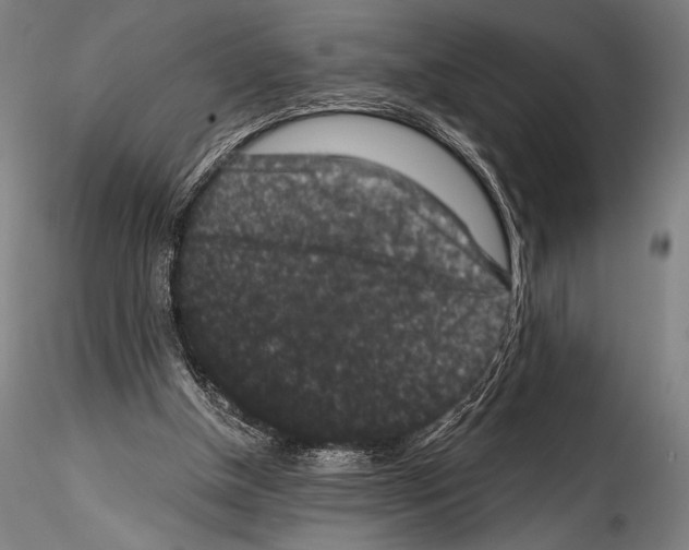 X0000114410154200911271534