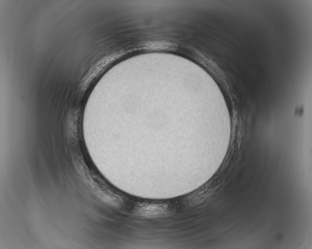 X0000114410155200911271534