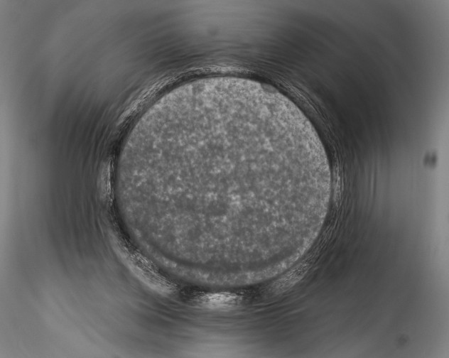 X0000114410158200911271534