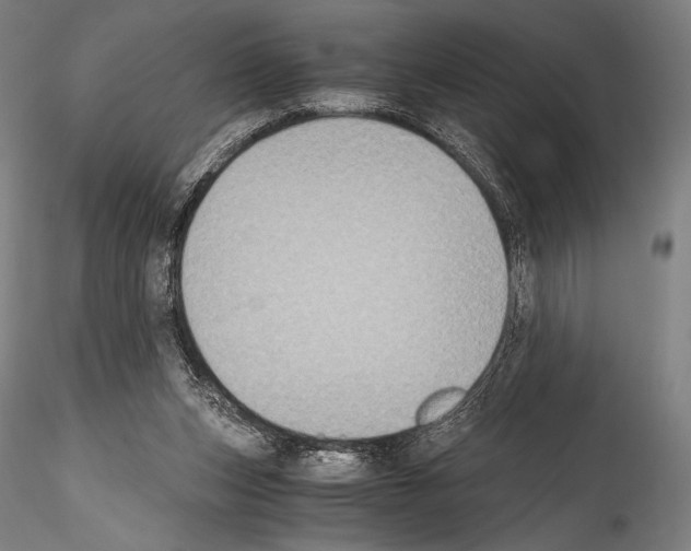 X0000114410159200911271534