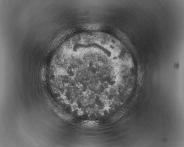 X0000114410161200911271534