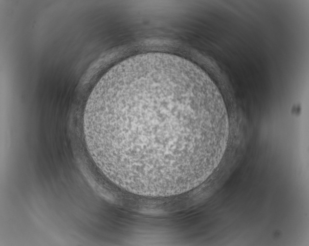 X0000114410162200911271535