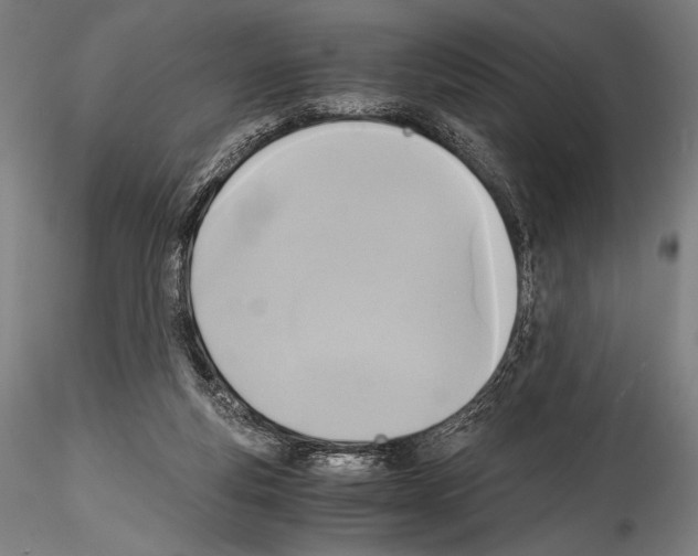 X0000114410163200911271535