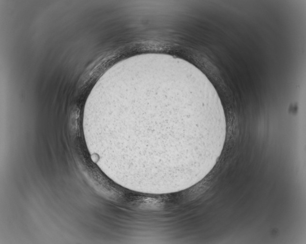 X0000114410166200911271535