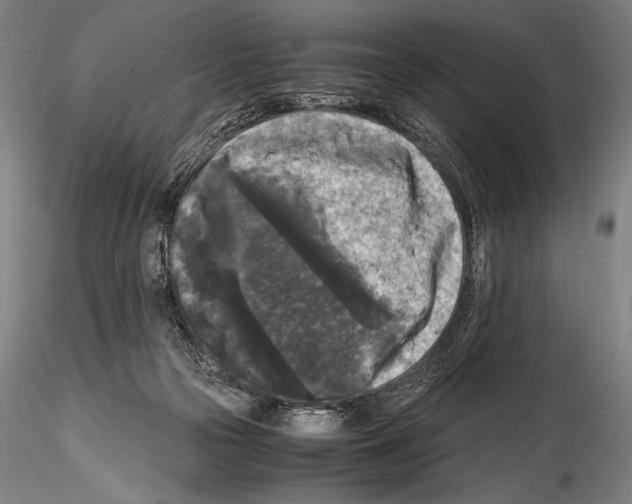 X0000114410169200911271535