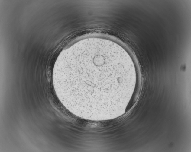 X0000114410174200911271535