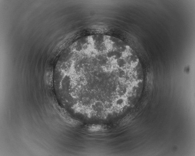 X0000114410177200911271535