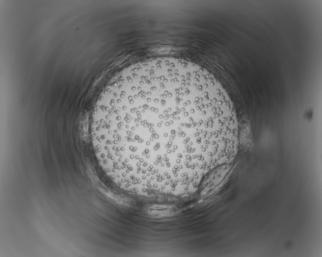 X0000114410179200911271535