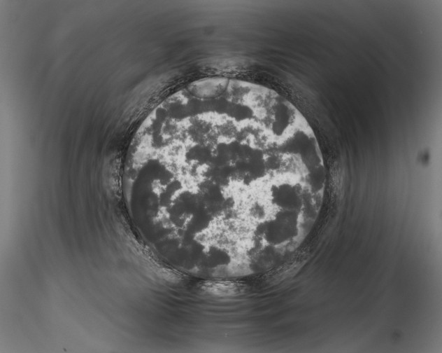 X0000114410181200911271535