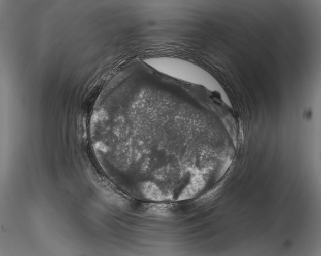 X0000114410182200911271535