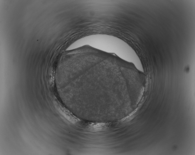 X0000114410186200911271535