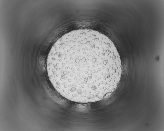 X0000114410187200911271535