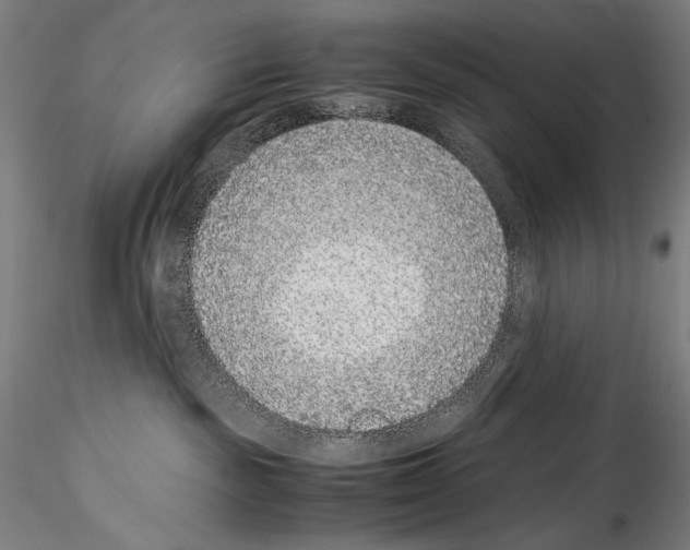 X0000114410189200911271535