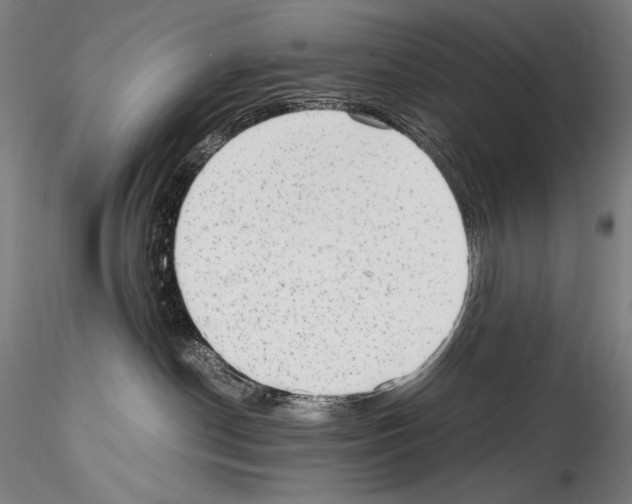 X0000114410190200911271535