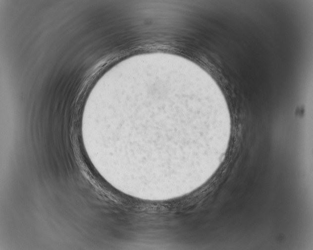 X0000114410193200911271534