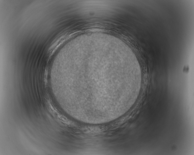 X0000114410194200911271534