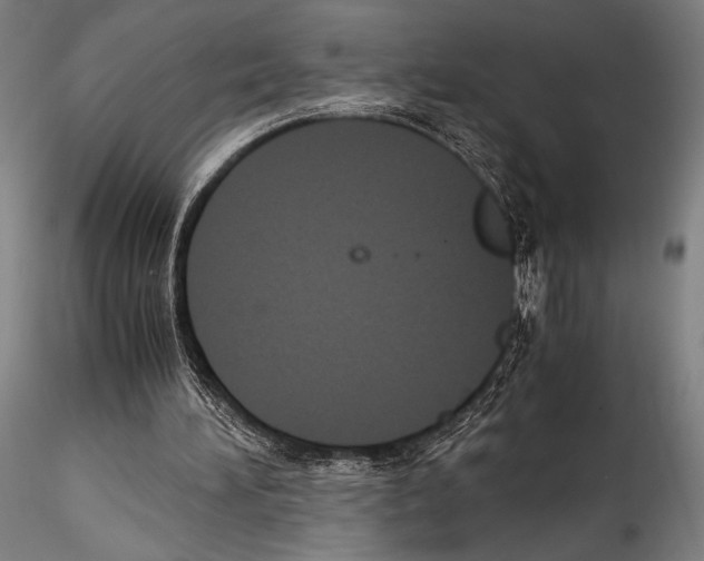 X0000114410196200911271534