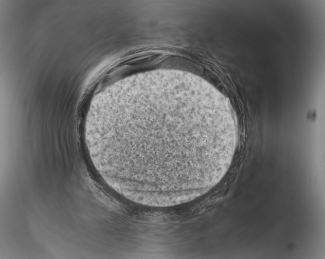 X0000114410197200911271534