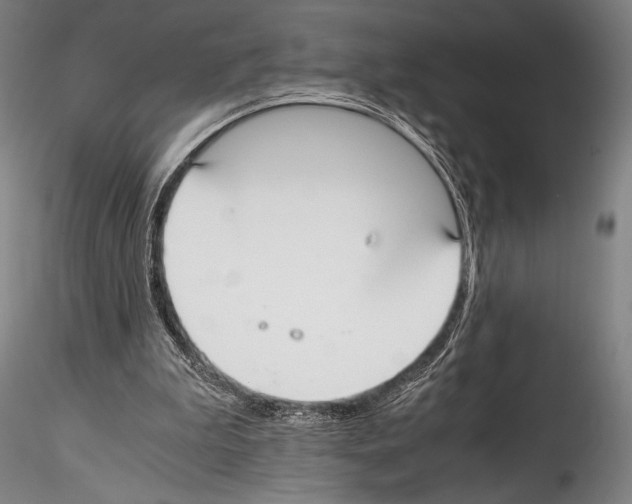 X0000114410199200911271534