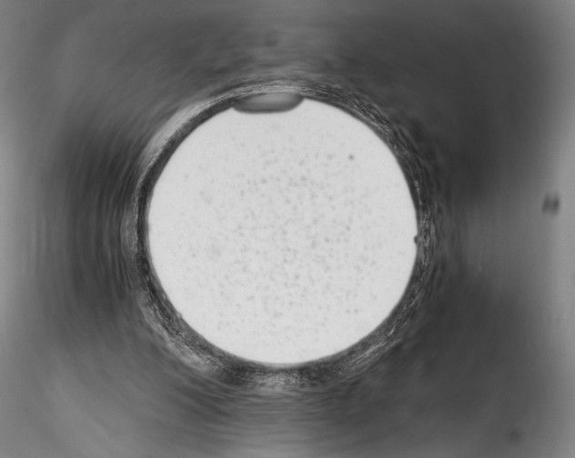 X0000114410200200911271534