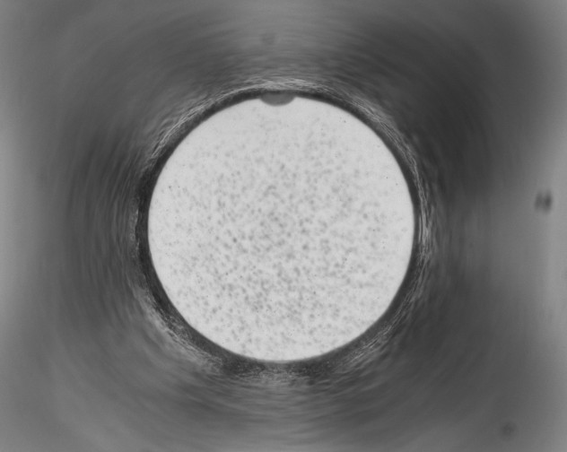 X0000114410201200911271534