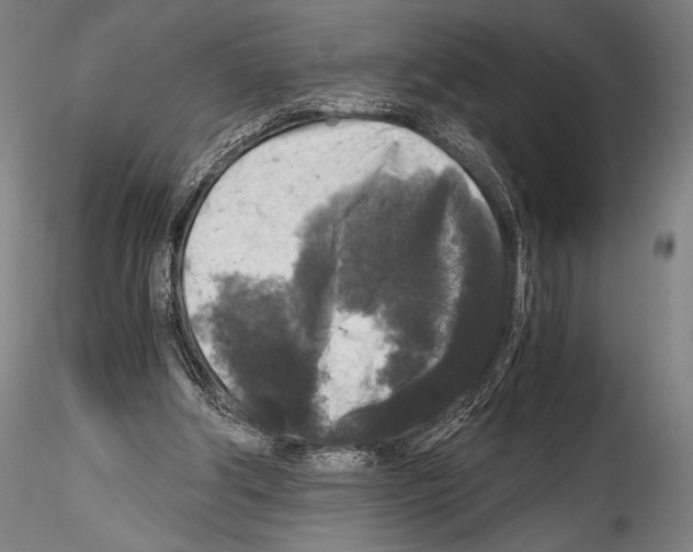 X0000114410202200911271534