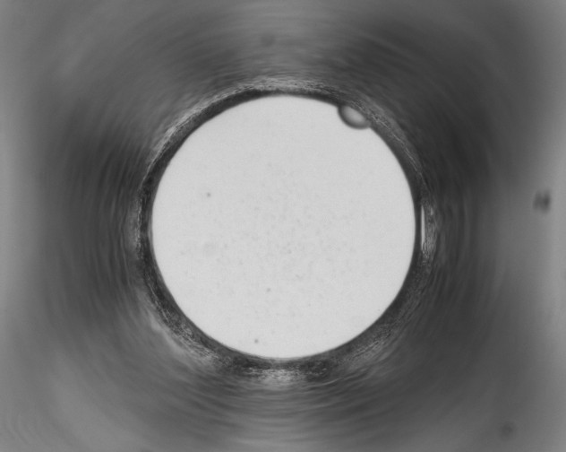 X0000114410204200911271534