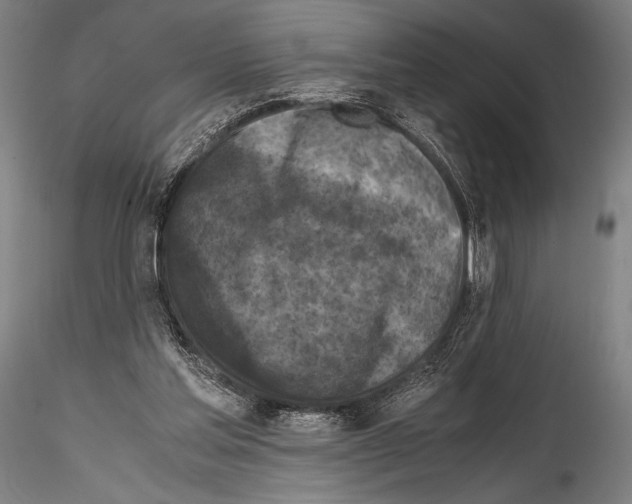 X0000114410205200911271534