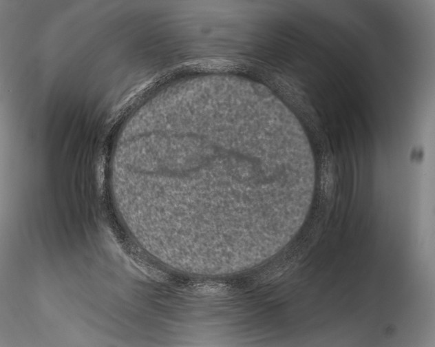 X0000114410206200911271534