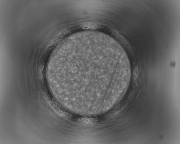 X0000114410209200911271534