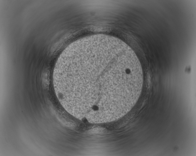 X0000114410210200911271534