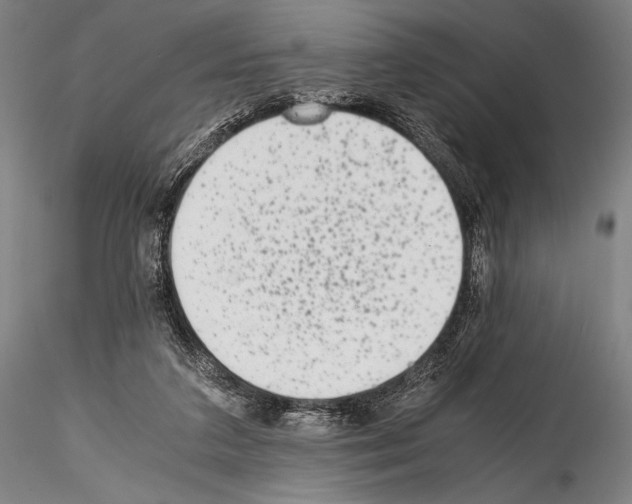 X0000114410211200911271534