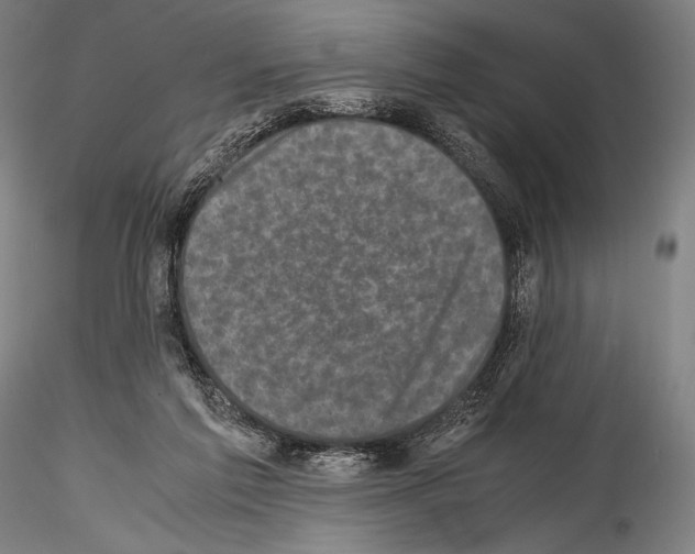 X0000114410213200911271534