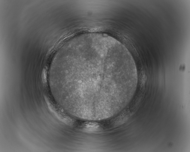 X0000114410214200911271534