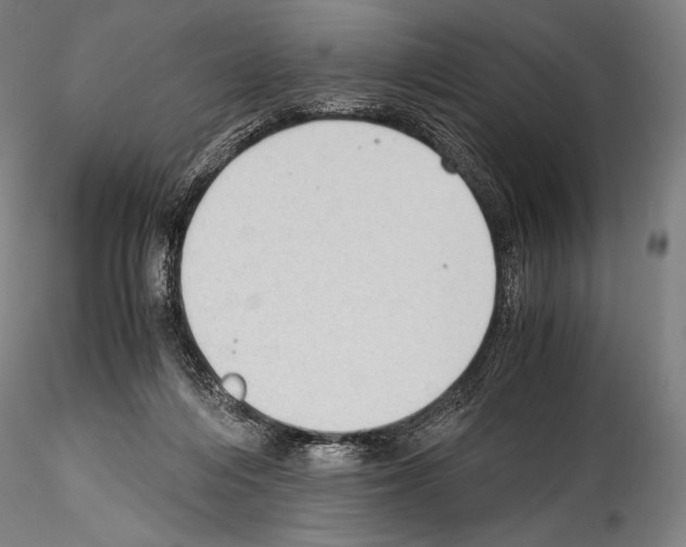 X0000114410216200911271534