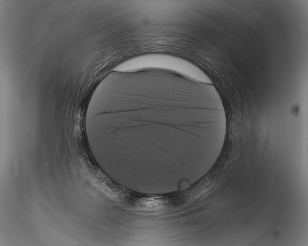 X0000114410219200911271534