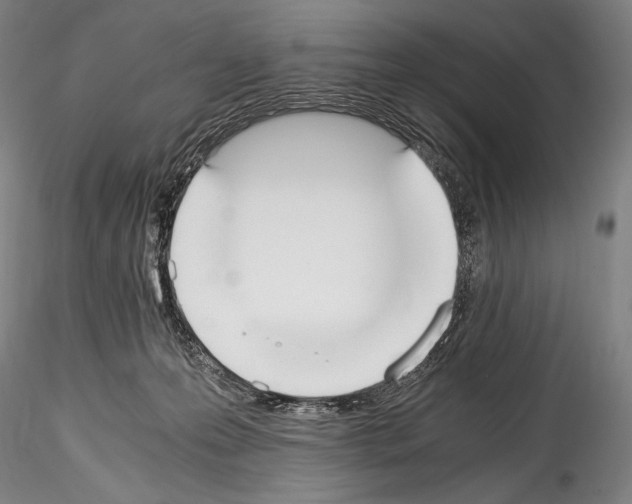 X0000114410223200911271534