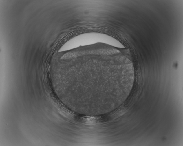 X0000114410229200911271534