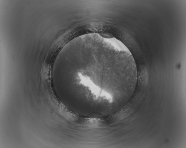 X0000114410233200911271534