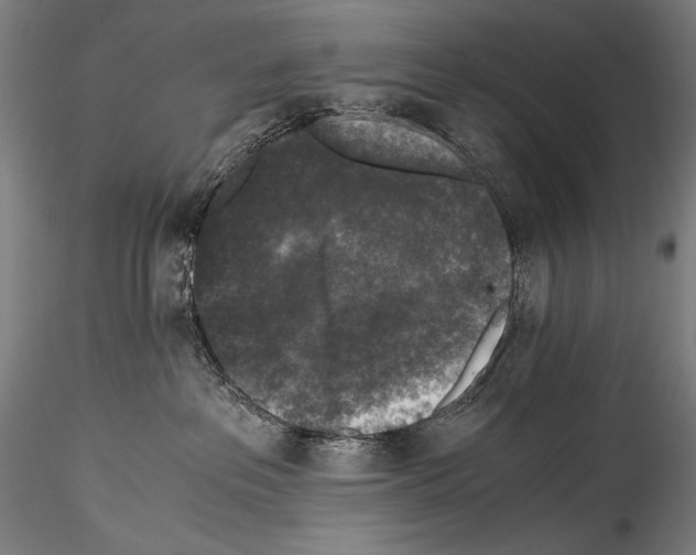 X0000114410237200911271533