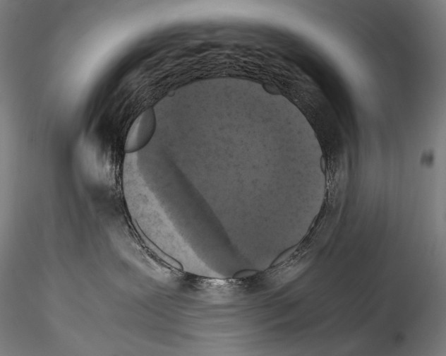 X0000114410239200911271533