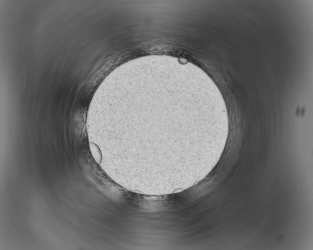 X0000114410240200911271533