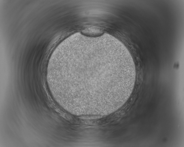 X0000114410241200911271533