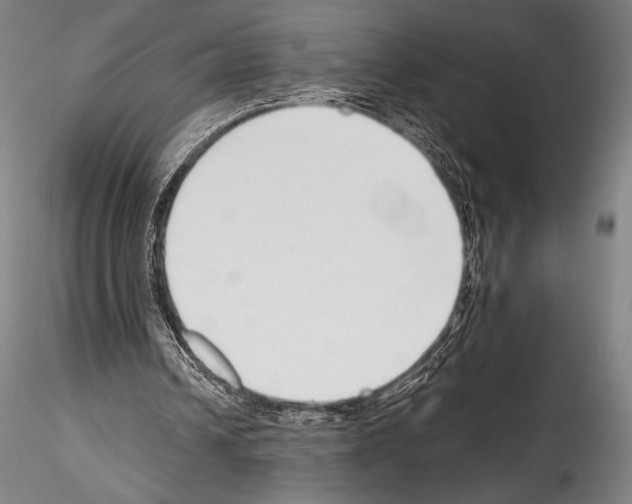 X0000114410242200911271533